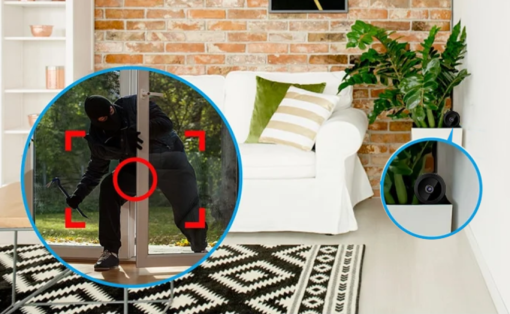Image of burglar entering through the porch door, PixieLens Pro recording him
