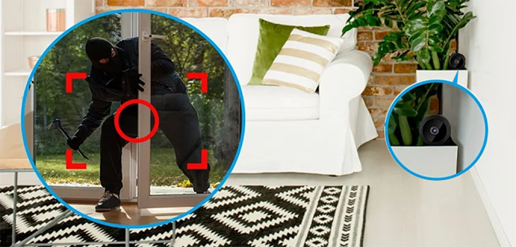 Image of burglar entering through the porch door, PixieLens Pro recording him